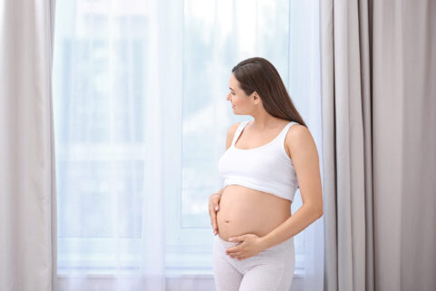 Young beautiful pregnant woman near window at home